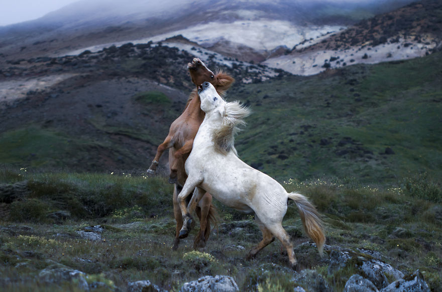 Incomparable Iceland: Beautiful Landscapes By Signe Fogelqvist