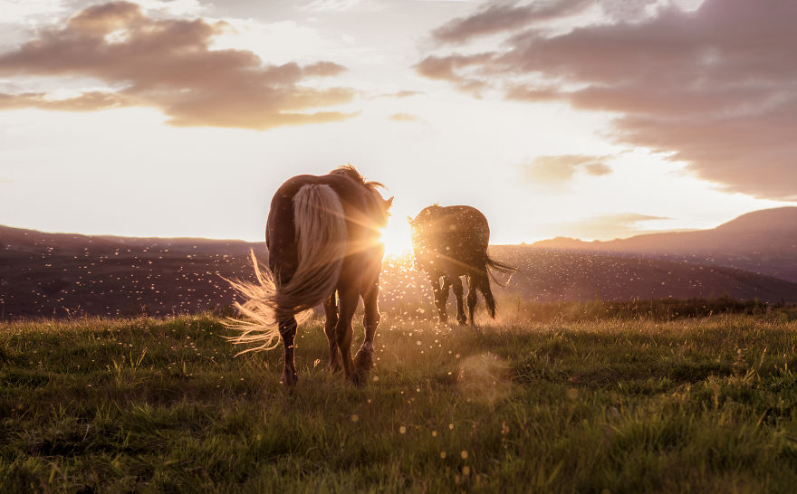 Incomparable Iceland: Beautiful Landscapes By Signe Fogelqvist