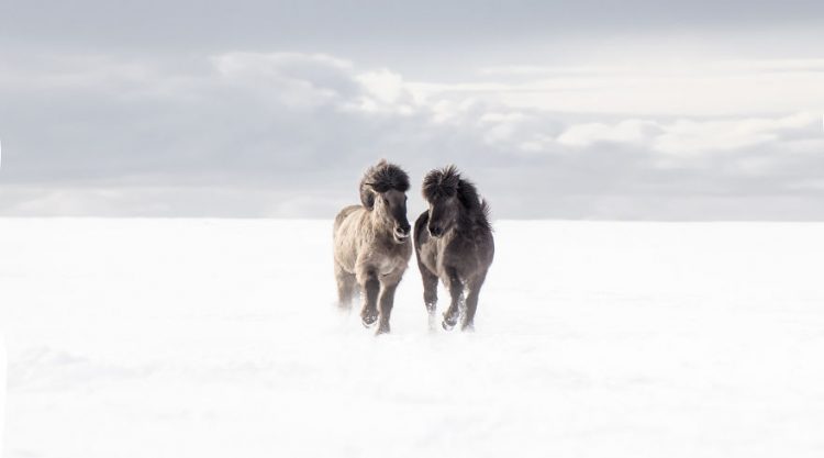 Incomparable Iceland: Beautiful Landscapes By Signe Fogelqvist