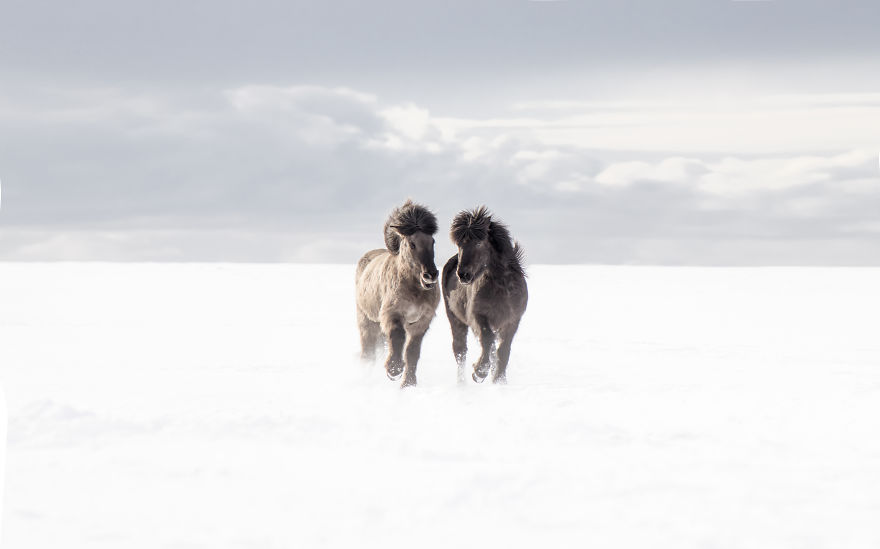 Incomparable Iceland: Beautiful Landscapes By Signe Fogelqvist