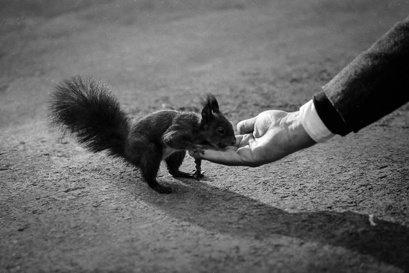 Unseen Old Street Photos of Jack Sharp