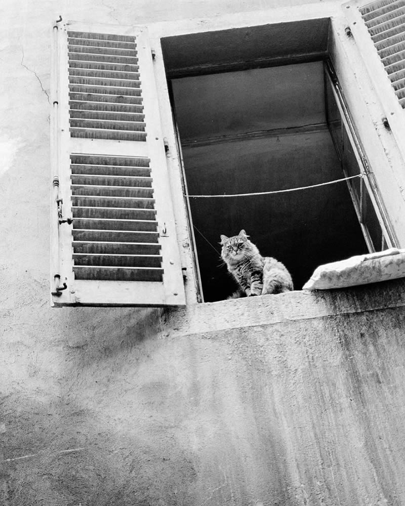 Unseen Old Street Photos of Jack Sharp