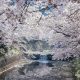 Japanese Photographer Yin Ying Beautifully Captured Four Seasons In Kyoto