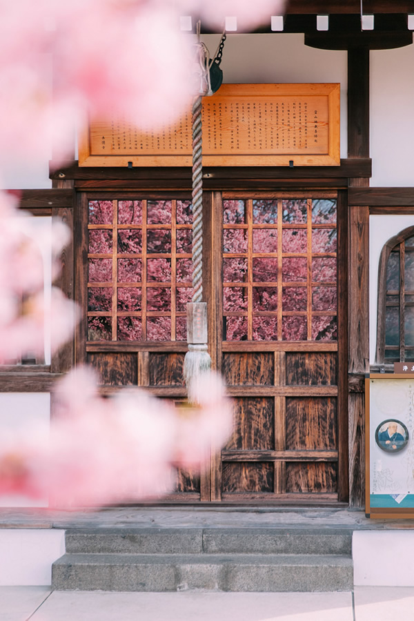 Japanese Photographer Yin Ying Beautifully Captured Four Seasons In Kyoto