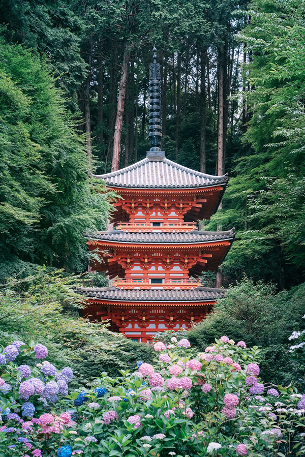 Japanese Photographer Yin Ying Beautifully Captured Four Seasons In Kyoto