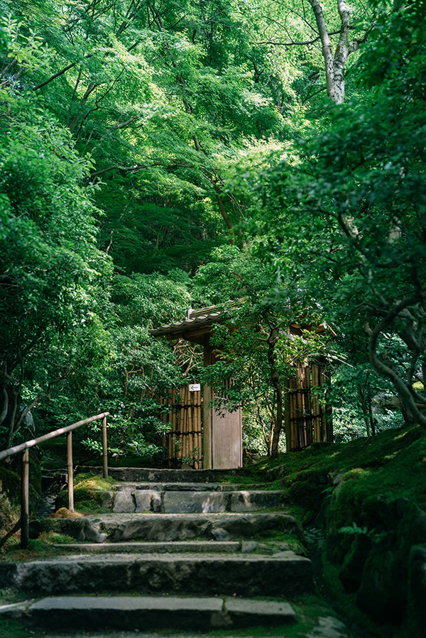 Japanese Photographer Yin Ying Beautifully Captured Four Seasons In Kyoto