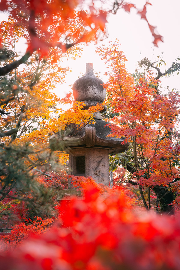 Japanese Photographer Yin Ying Beautifully Captured Four Seasons In Kyoto