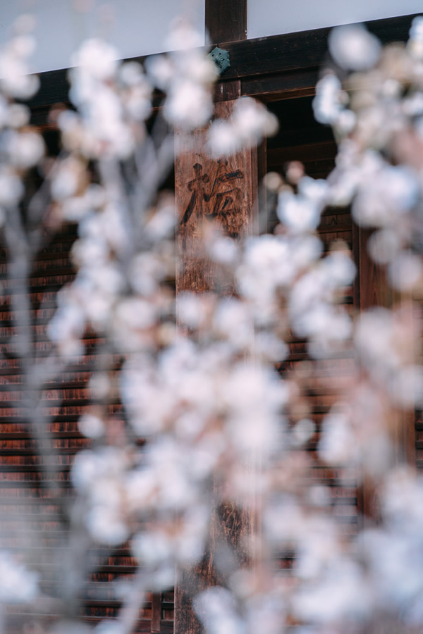 Japanese Photographer Yin Ying Beautifully Captured Four Seasons In Kyoto