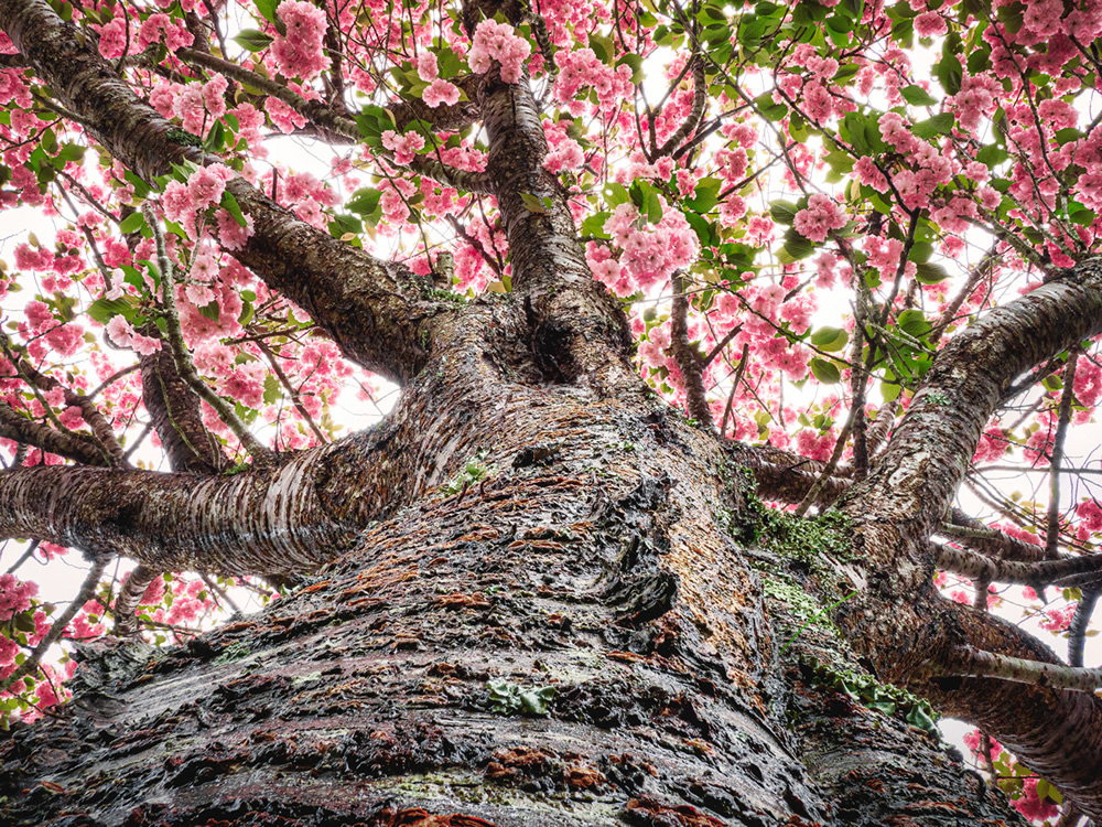 Amazing Miniature Landscape Photography By Katsuhiro Ohkuchi