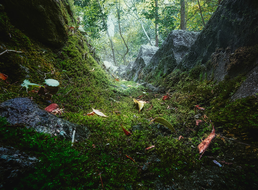 Amazing Miniature Landscape Photography By Katsuhiro Ohkuchi