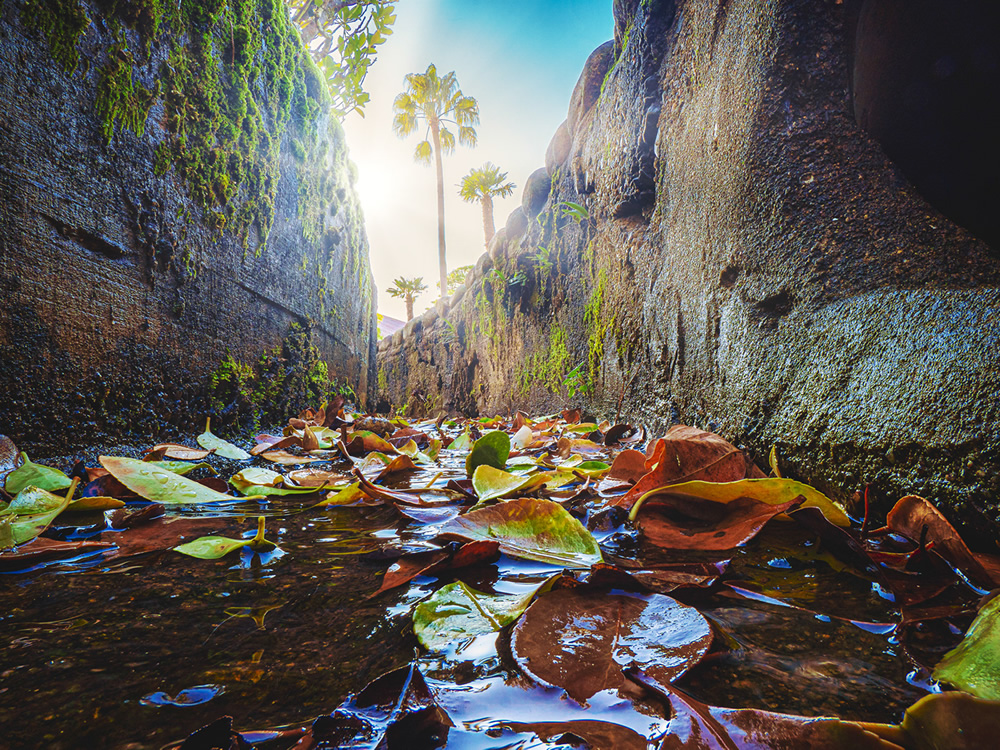 Amazing Miniature Landscape Photography By Katsuhiro Ohkuchi