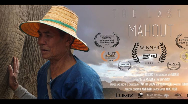 The Last Mahout: A Cinematic Short Film By Tania Esteban