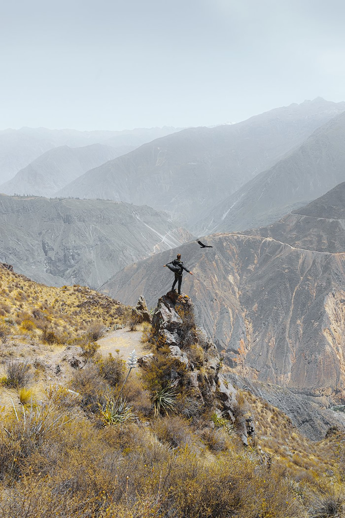 The dream - Colca Canyon, Peru