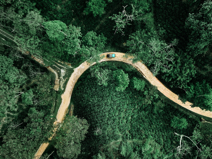 Nurjahan Tea Garden, Sreemangal, Sylhet - Curved Roads on Bangladesh by Nihab Rahman