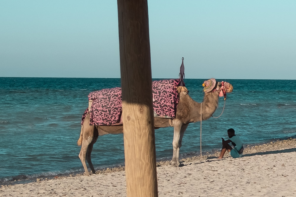 Djerba la Douce: An Island With 356 Mosques By Skander Khlif