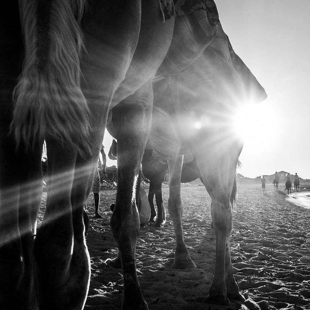 Djerba la Douce: An Island With 356 Mosques By Skander Khlif