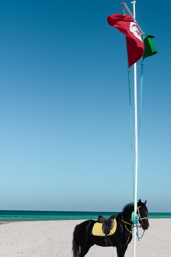 Djerba la Douce: An Island With 356 Mosques By Skander Khlif