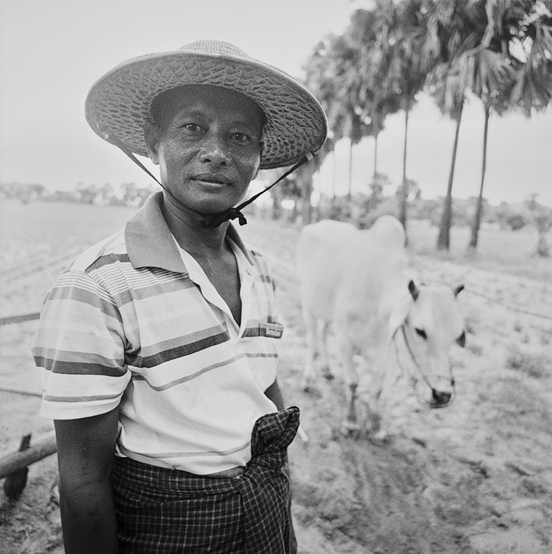 Guardians Of Paradise: Bagan, Myanmar By Ivan Maria Friedman