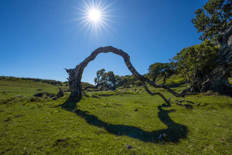 Landscape Photographer Alex Forst Beautifully Captured Magical Madeira