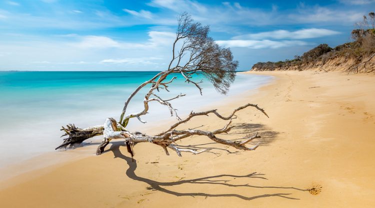 Australian Photographer Jason Freeman Traveled Across 45 Different National Parks In Victoria