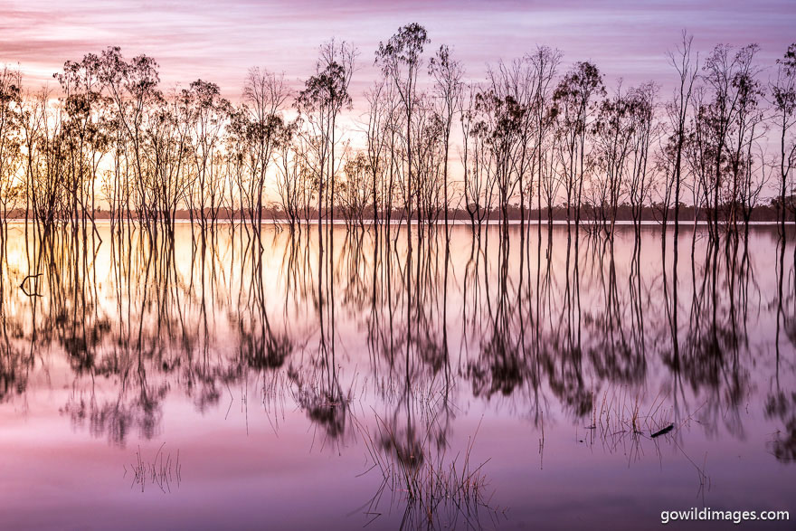 Hattah-Kulkyne - National Parks In Victoria