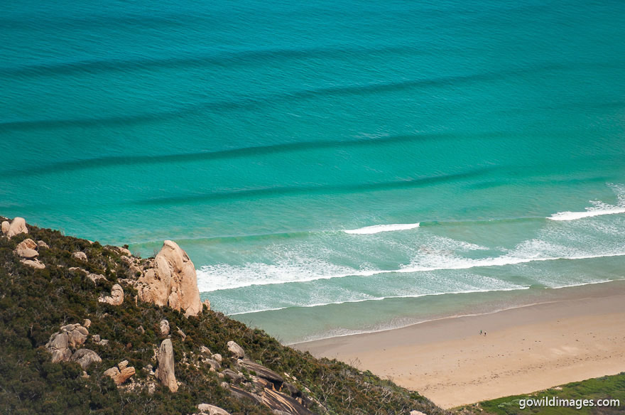 Wilsons Promontory - National Parks In Victoria