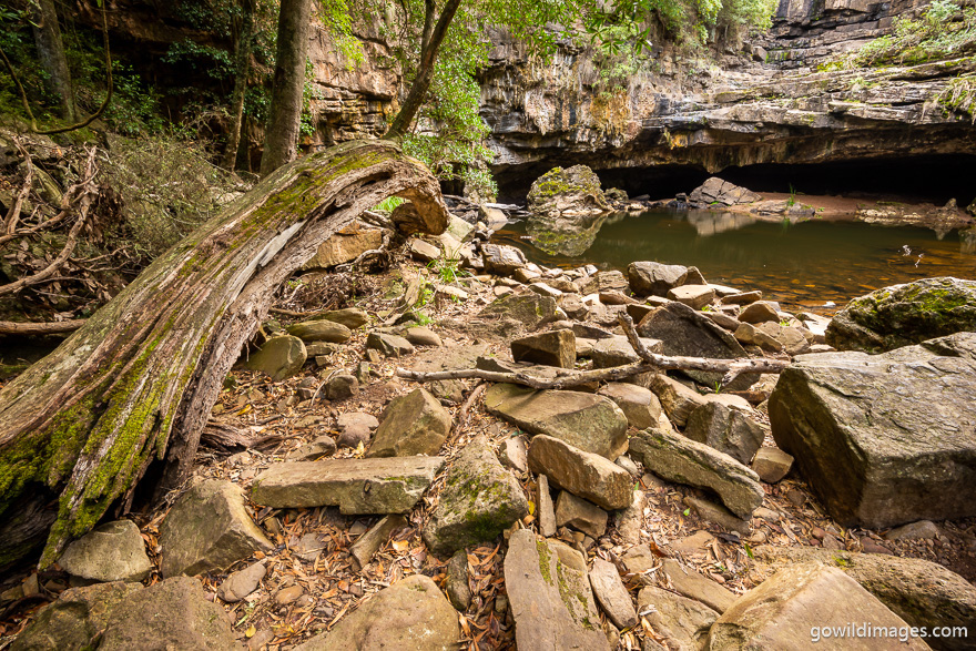 Mitchell River - National Parks In Victoria