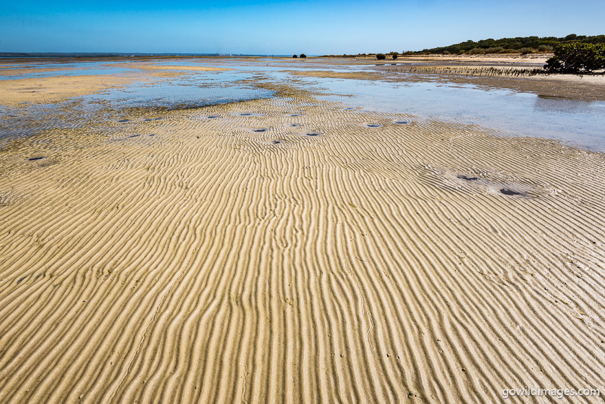 French Island - National Parks In Victoria