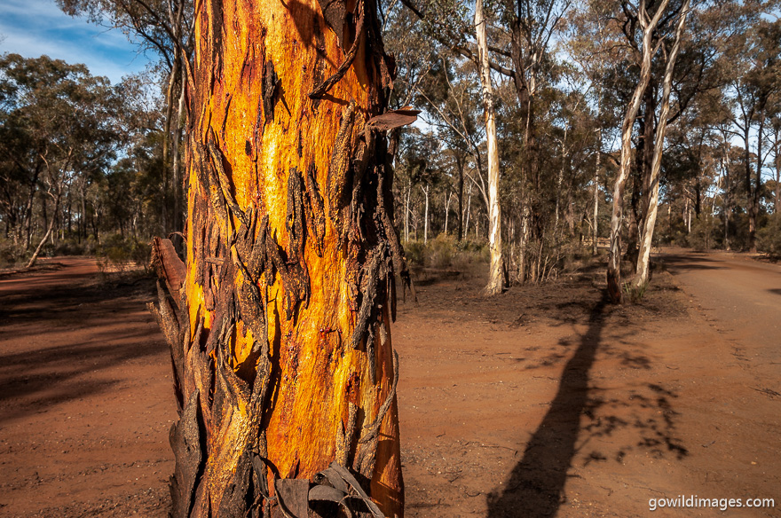 Greater Bendigo - National Parks In Victoria