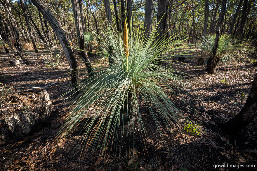 Brisbane Ranges - National Parks In Victoria