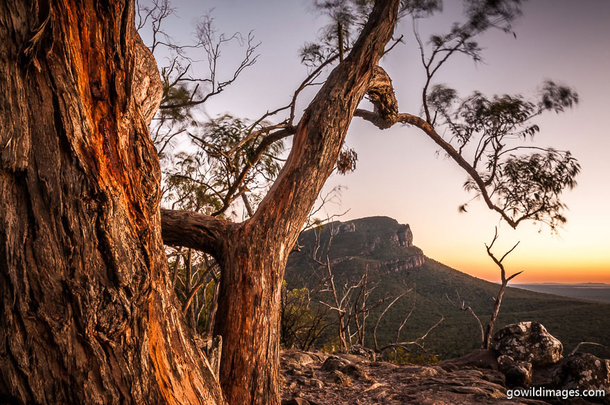 Grampians - National Parks In Victoria