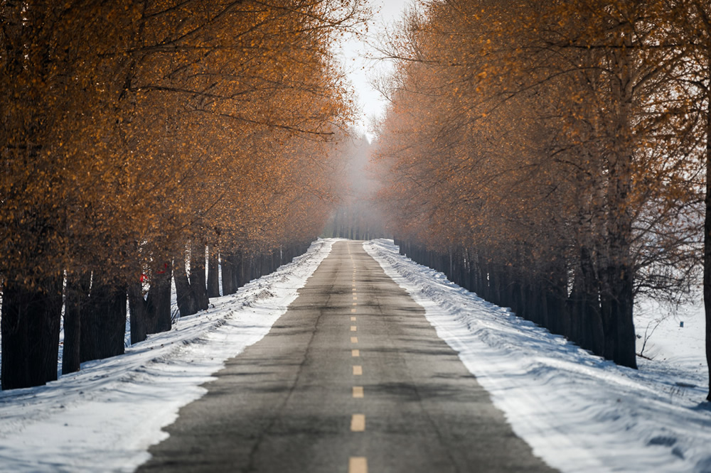 Porsche Ice Experience: Photographer Kai Hartmann Stunningly Captured in Northern China, Inner Mongolia