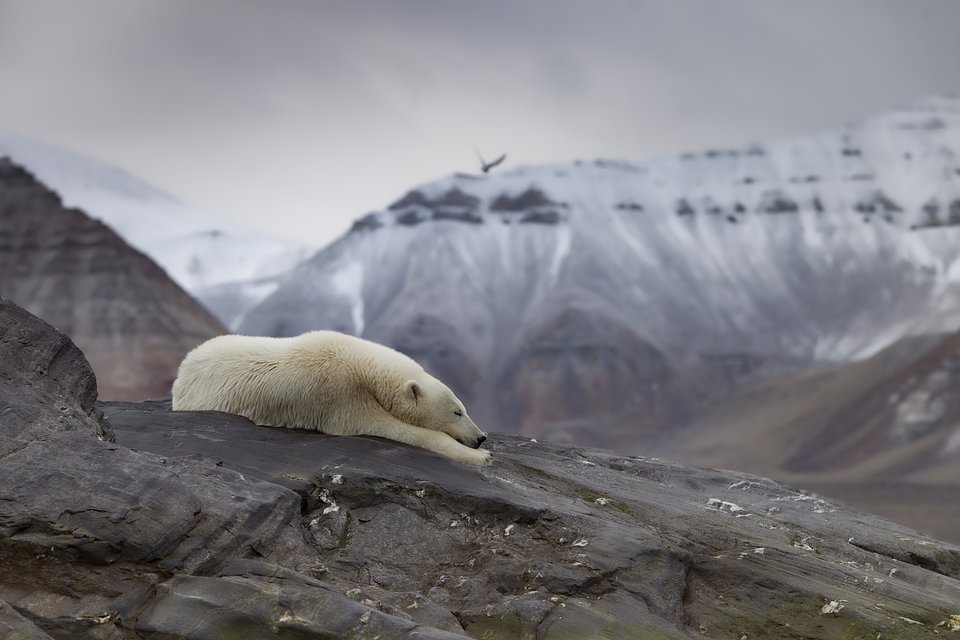 The World's 50 Best Photos of The Year by Agora