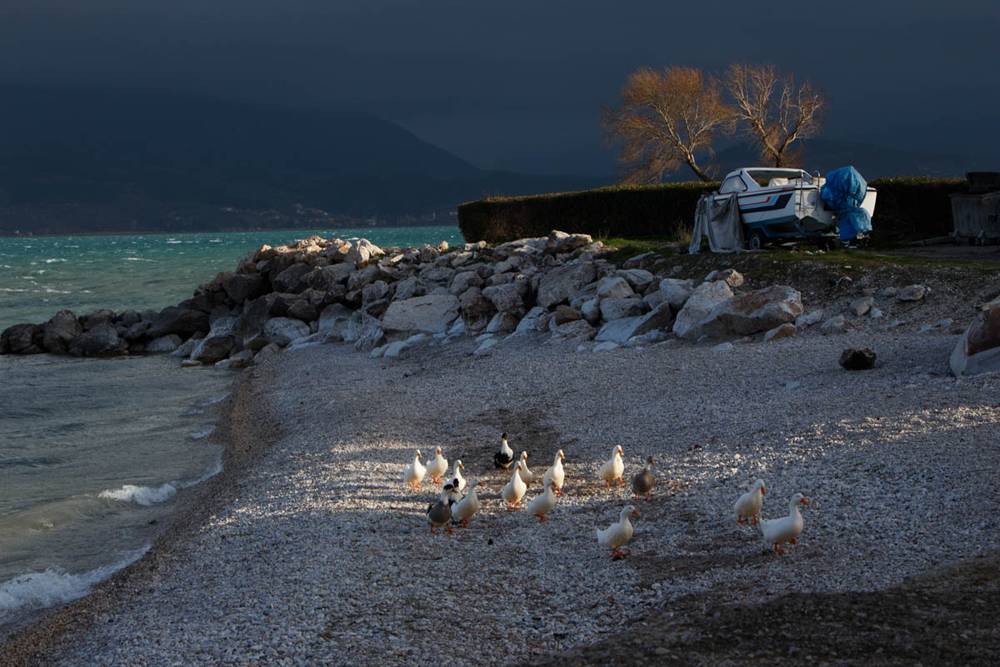 My Personal Best: Turkish Street Photographer Nazile Bolat