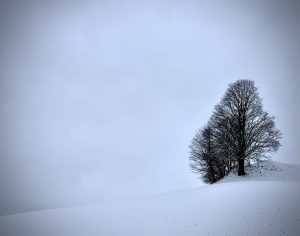 Robert Tomaszewski, Switzerland