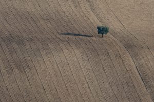 Riccardo Cioli, Italy