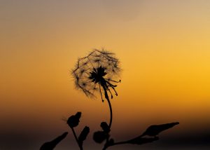 Giannis Paraschou, Greece