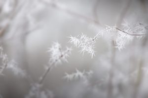 DURLAN Fotografie, Germany