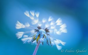 Frederic Gombert, France