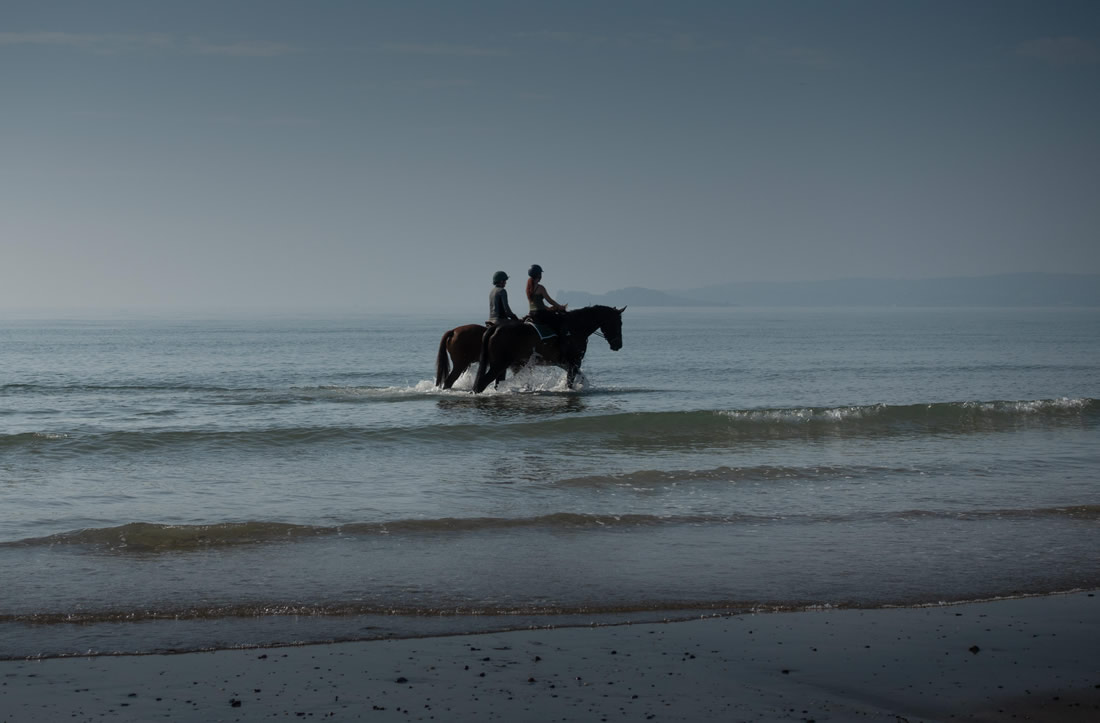 Alain Rochecouste, Ireland