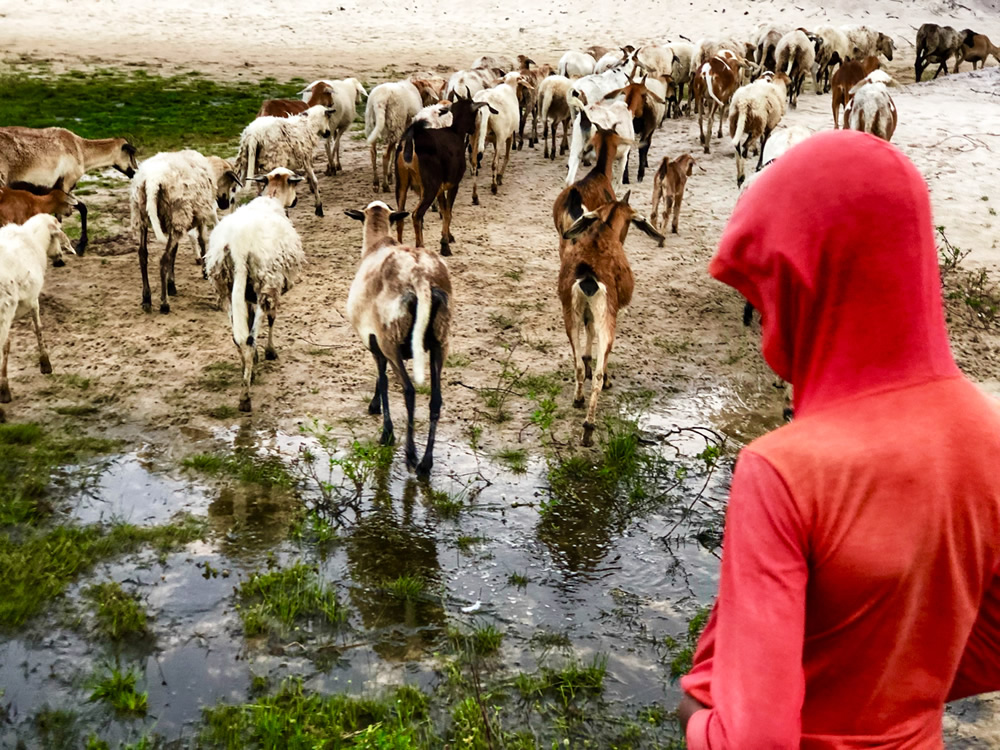 My Personal Best: Brazilian Photographer Rodrigo Furlan Escorcio