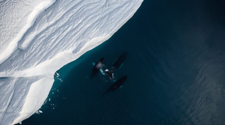 Above Greenland: A Photography Series By Christian Hoiberg