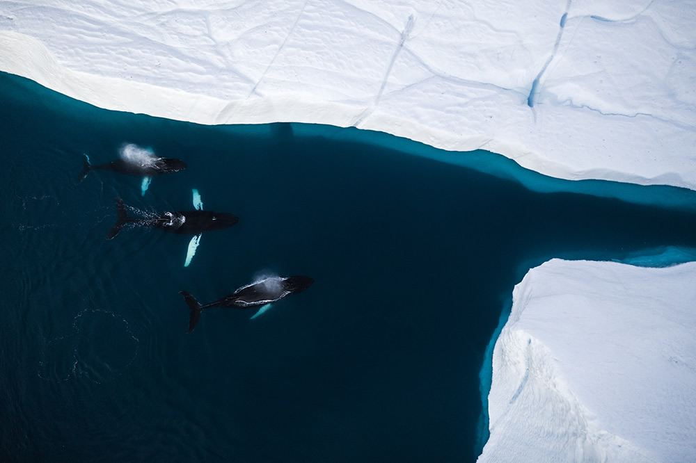 Above Greenland: A Photography Series By Christian Hoiberg