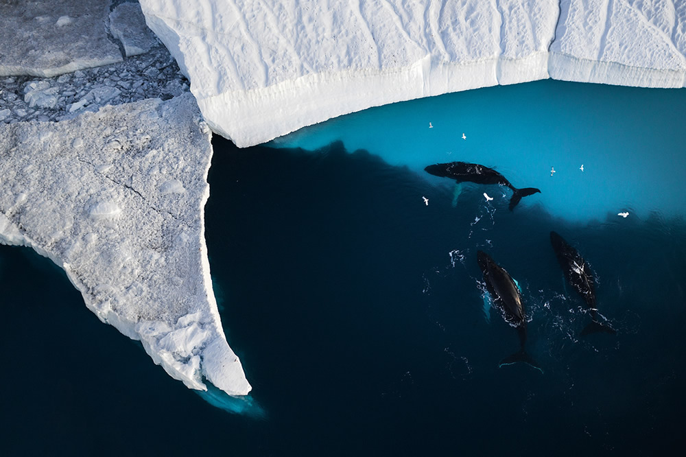 Above Greenland: A Photography Series By Christian Hoiberg