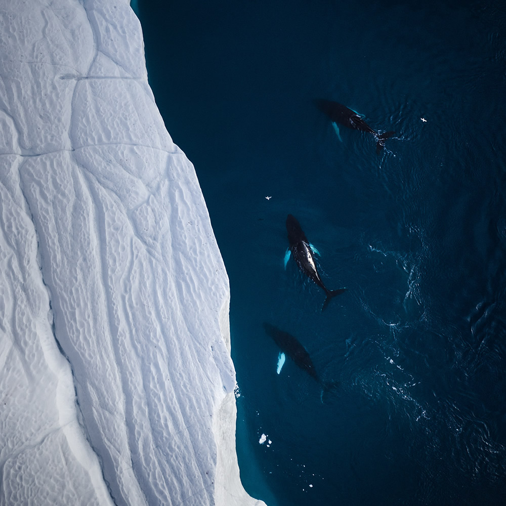 Above Greenland: A Photography Series By Christian Hoiberg