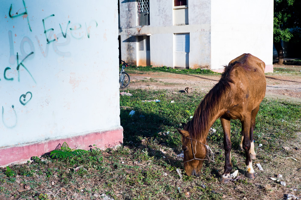 My Personal Best: Italian Photographer Adriana Ferrarese