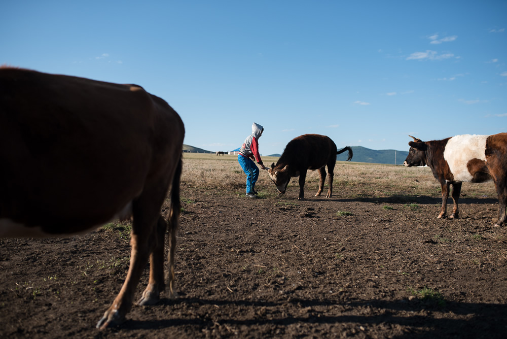 Modern Nomads: Amazing Photo Series By Callie Eh