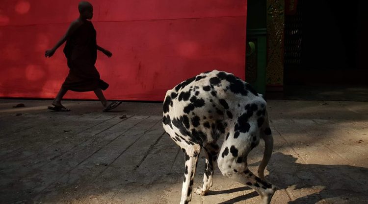 My Personal Best: Myanmar Street Photographer Naw Naw