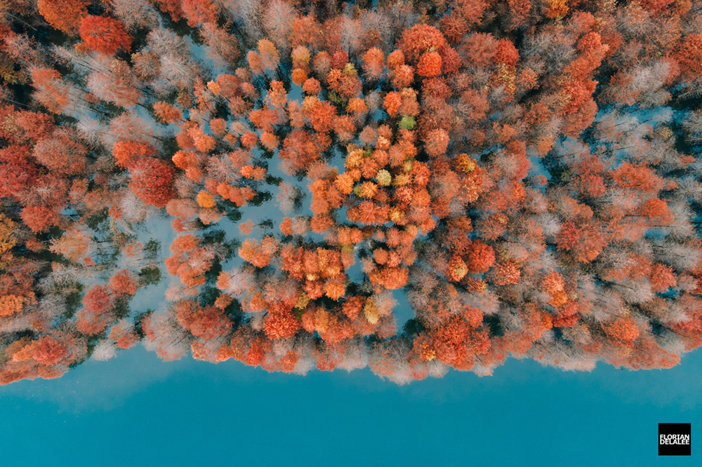 Red Forest: Autumn In Anhui By Florian Delalee