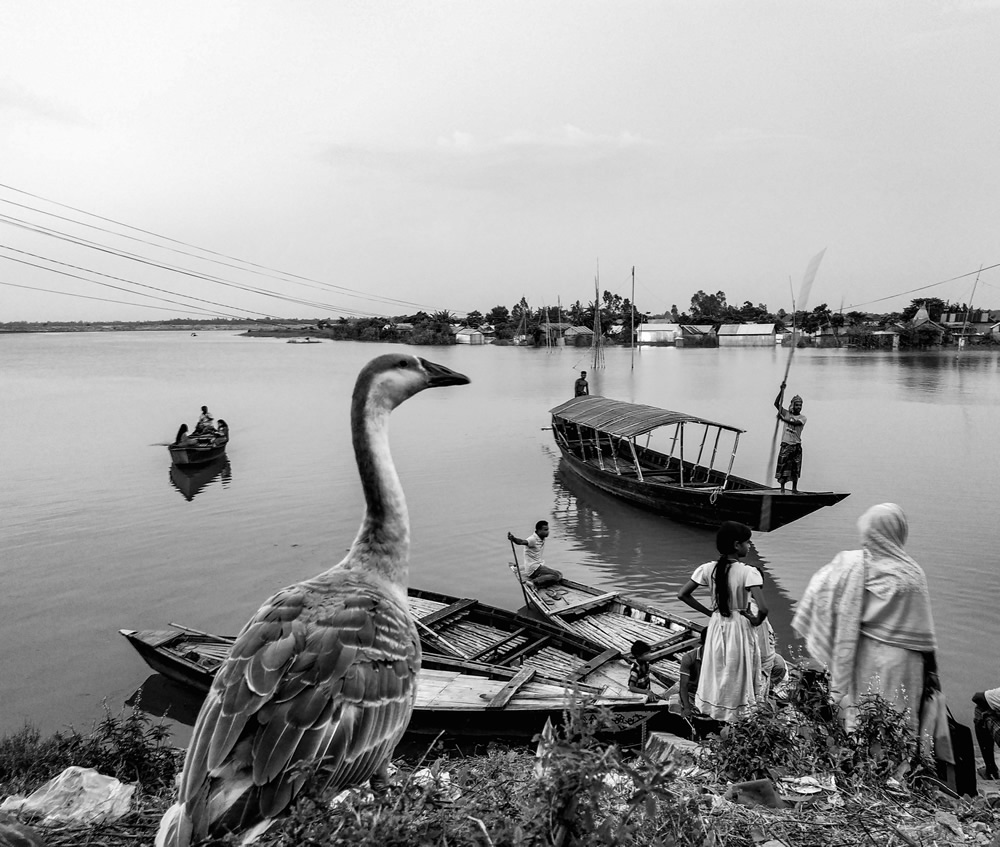 My Personal Best: Bangladeshi Photographer Sazzad Hosssain Shanto